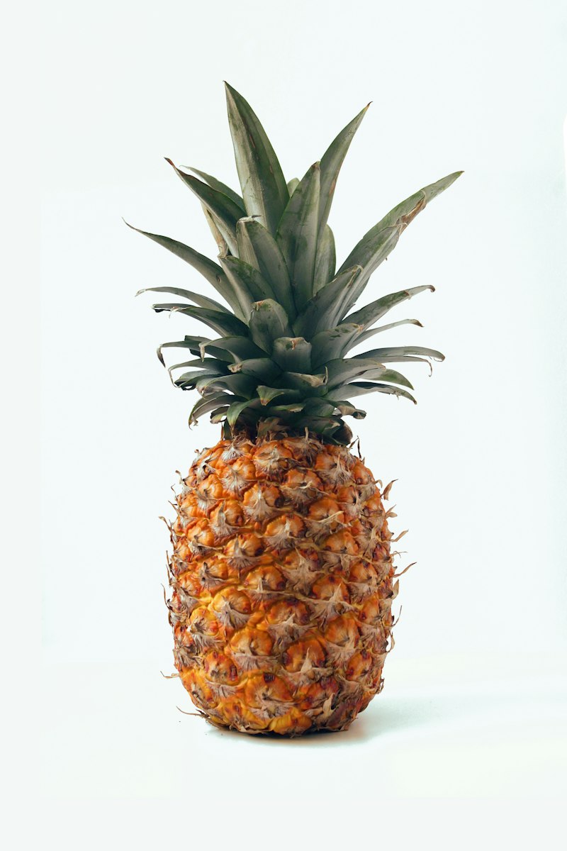 Pineapple Slices / Diced